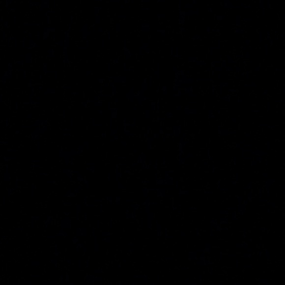 ali1010101